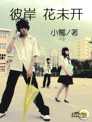 古墓丽影暗影